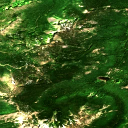 Pierce County in 2017
