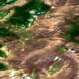 Pierce County in 2019