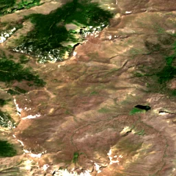Pierce County in 2024