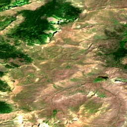 Pierce County in 2025