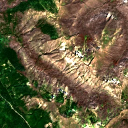 Pierce County in 2019