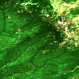 Pierce County in 2017