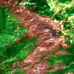 Pierce County in 2018