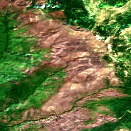 Pierce County in 2019