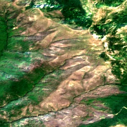 Pierce County in 2023
