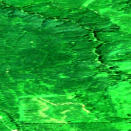 Pierce County in 2019