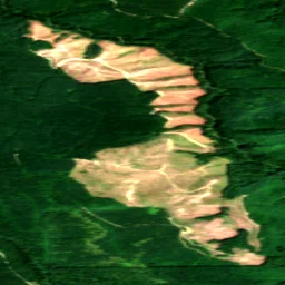 Pierce County in 2022