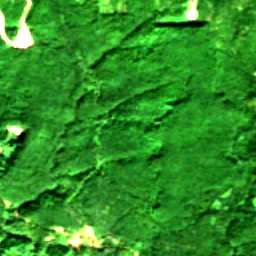 Lewis County in 2017