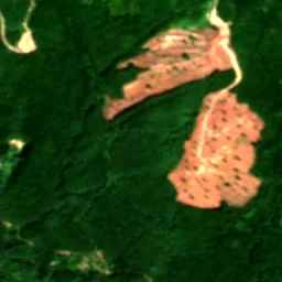 Lewis County in 2019
