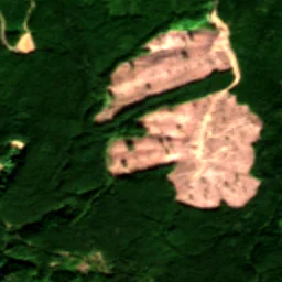 Lewis County in 2020