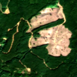 Lewis County in 2021