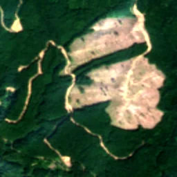 Lewis County in 2022