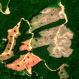 Lewis County in 2023