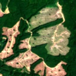 Lewis County in 2024