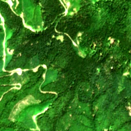 Pierce County in 2017