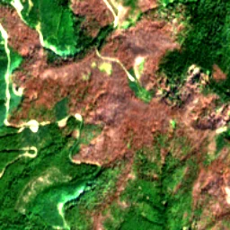 Pierce County in 2019