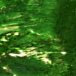 Pierce County in 2017