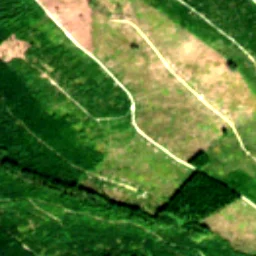 Pierce County in 2017