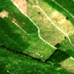 Pierce County in 2018