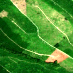 Pierce County in 2019