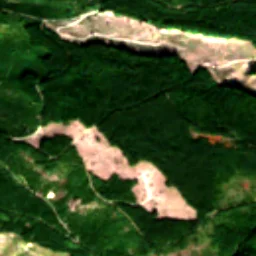 Pierce County in 2017