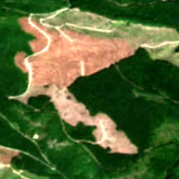 Pierce County in 2019