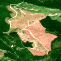 Pierce County in 2023