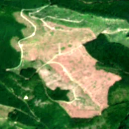 Pierce County in 2024