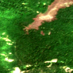 Pierce County in 2017