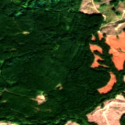 Pierce County in 2017