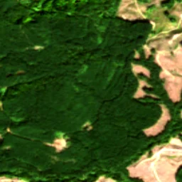 Pierce County in 2018