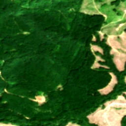 Pierce County in 2019