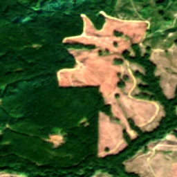 Pierce County in 2021