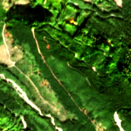 Pierce County in 2018