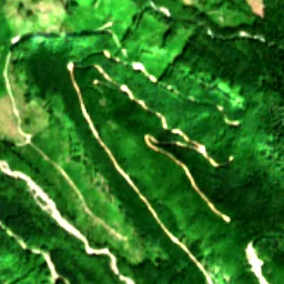 Pierce County in 2019