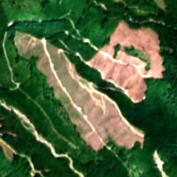 Pierce County in 2024