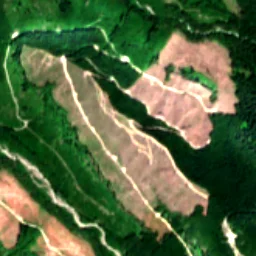 Pierce County in 2025