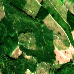 Pierce County in 2017