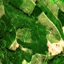 Pierce County in 2018