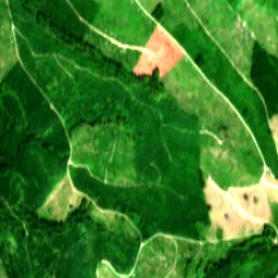 Pierce County in 2019