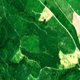 Pierce County in 2024