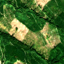 Pierce County in 2017