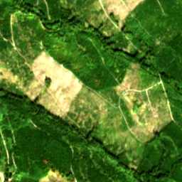Pierce County in 2018
