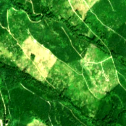 Pierce County in 2019