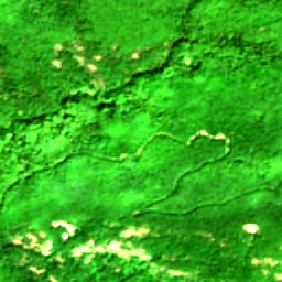 Pierce County in 2017