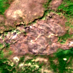 Pierce County in 2019