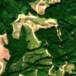 Pierce County in 2017