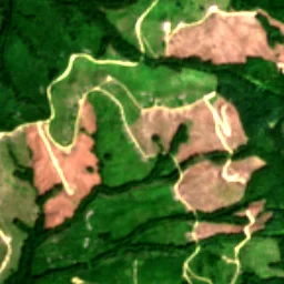Pierce County in 2019