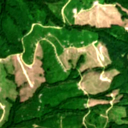 Pierce County in 2023