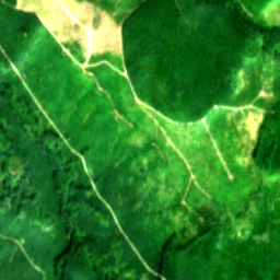 Pierce County in 2017
